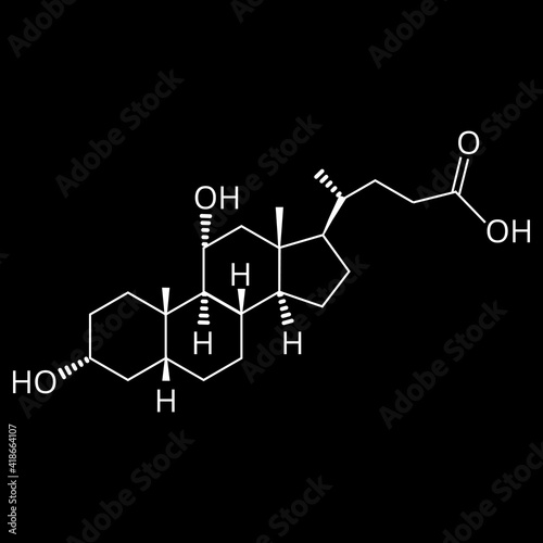 Chenodeoxycholic acid. Bile acid. Chemical molecular formula Chenodeoxycholic acid. Vector illustration on isolated background photo