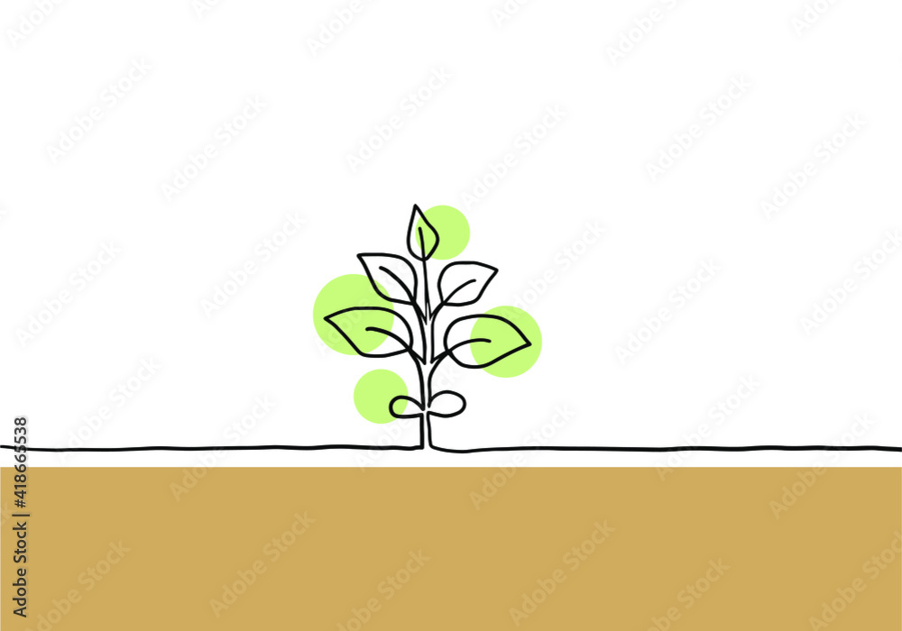 Obraz premium 植物の手描き線画イラスト 色付き
