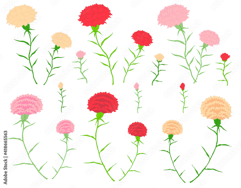 カーネーション イラスト カーネーション イラスト