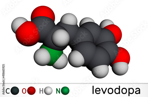 l-DOPA  levodopa molecule. It is an amino acid  is used to increase dopamine concentrations in the treatment of Parkinson s disease. Molecular model. 3D rendering