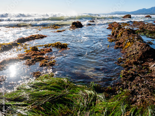 Waves, kelp, and sea grass in the intertidal zone at Tar Pits Beach in Carpinteria California on a sunny day.