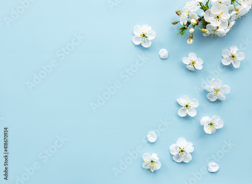 Spring border background with beautiful white flowering branches.
