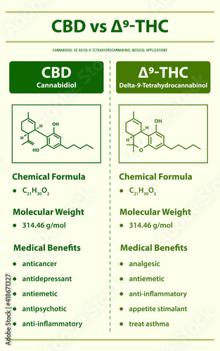 CBD vs ∆8-THC, Cannabidiol vs Delta 9 Tetrahydrocannabinol vertical infographic illustration about cannabis as herbal alternative medicine and chemical therapy, healthcare and medical vector.