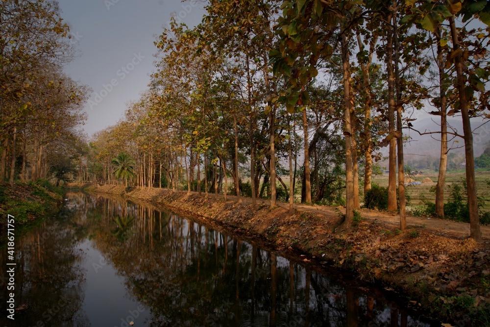 river in autumn