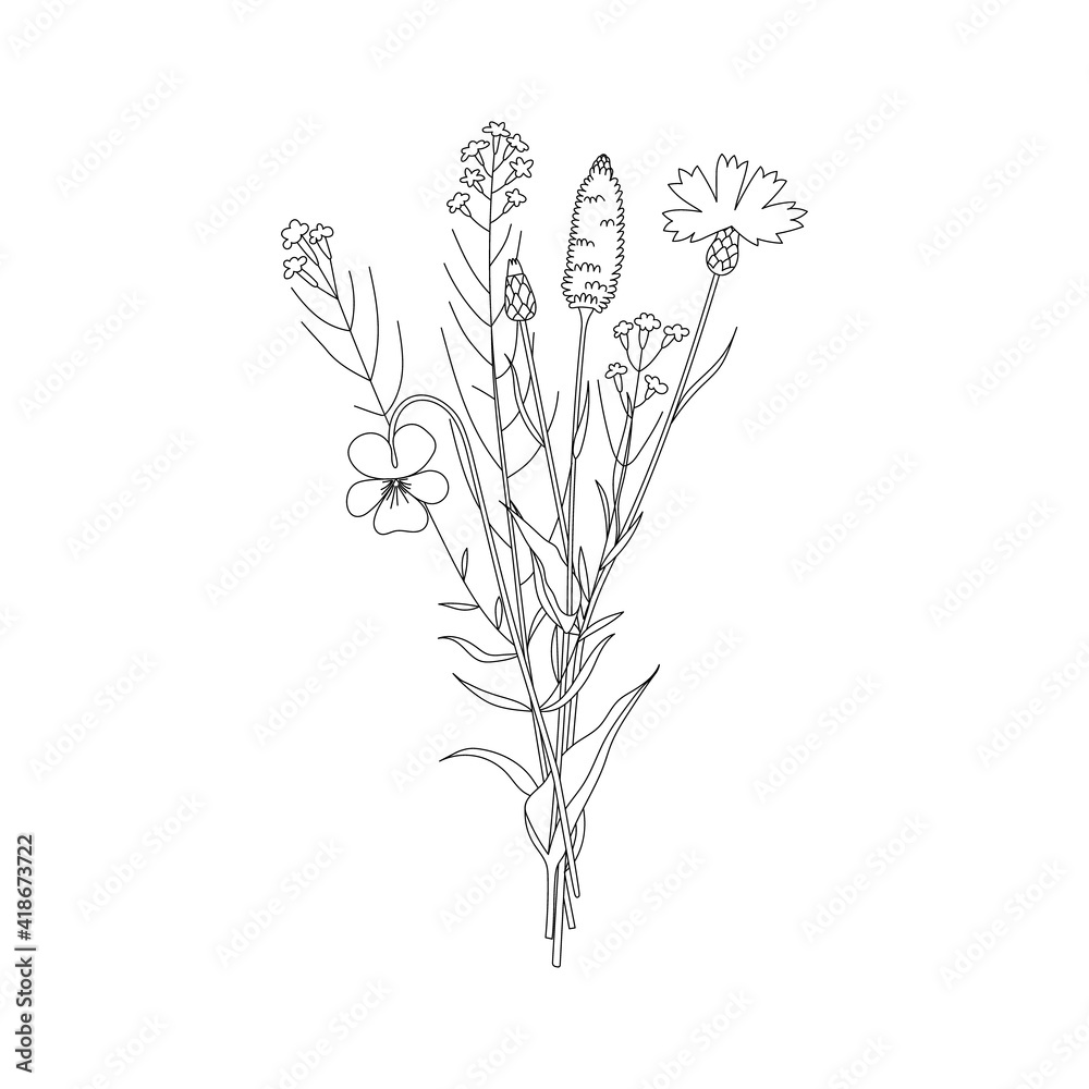 Vector line hand drawn illustration with a summer bouquet of wildflowers. Minimalist Flower, herb and medicinal plant. For logo design, tattoo, decor, postcard Vector line hand drawn illustration with a summer bouquet of wildflowers. Minimalist Flower, herb and medicinal plant. For logo design, tattoo, decor, postcard
