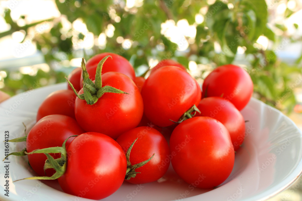 Ripe fresh tomatoes in a bowl