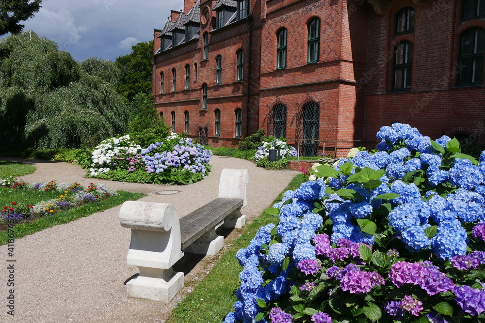 Blaue Hortensien und Steinbank am Schloss Wiligrad in Mecklenburg-Vorpommern