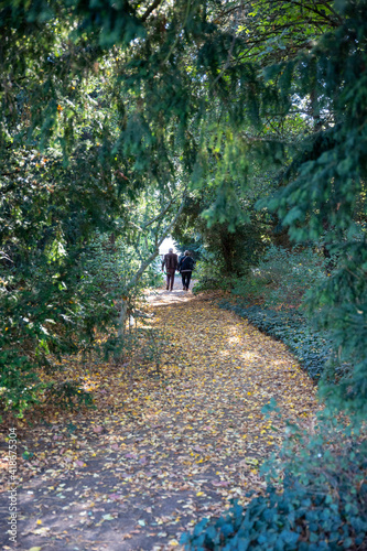 Wörlitzer Park