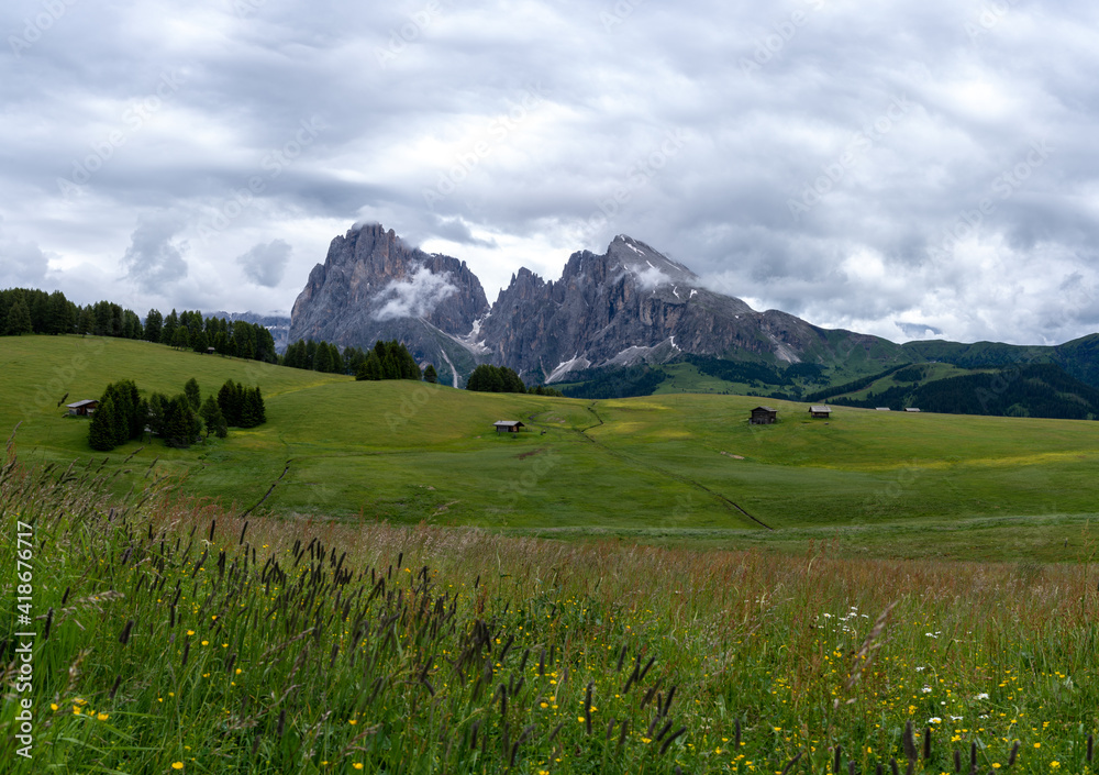 The green meadows of Seiser Alm in the iltalian alps.