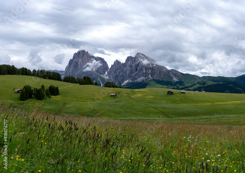 The green meadows of Seiser Alm in the iltalian alps.