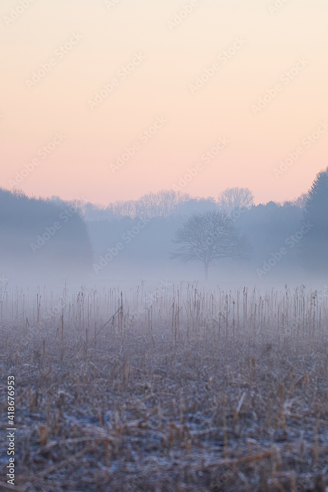 Fototapeta premium Februarstimmung