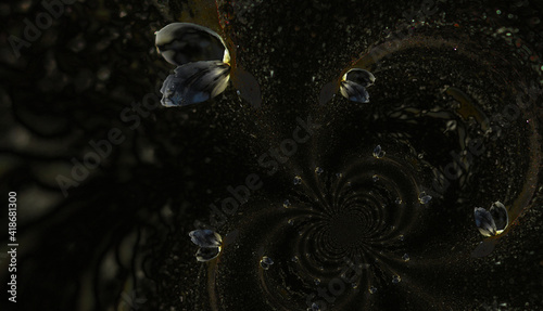 Grafika fraktalna z muszelkami i czarnym tłem