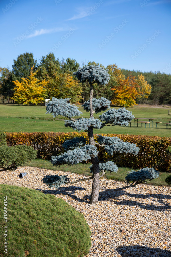 Obraz premium Findlingspark Nochten