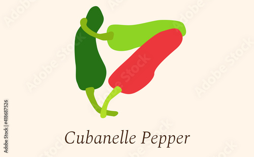 Flat green and red Cubanelle peppers vector illustration EPS10.