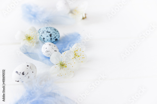 Easter  template on white board.White spring flowers , easter eggs and blue feathers, space for text photo