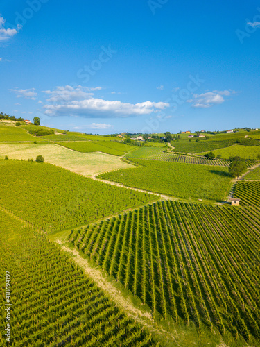 Aerial view of vineyards in Langhe, Piedmont, Italy
