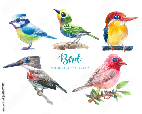 Beautiful and colorful small bird watercolor collection set (5 birds). 