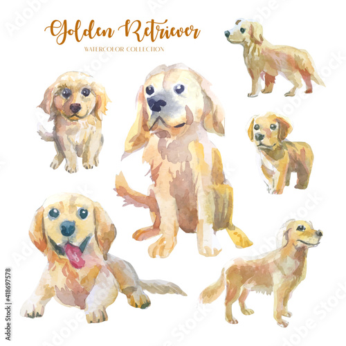 Cute Golden Retriever, dog watercolor collection set (6 dogs). 