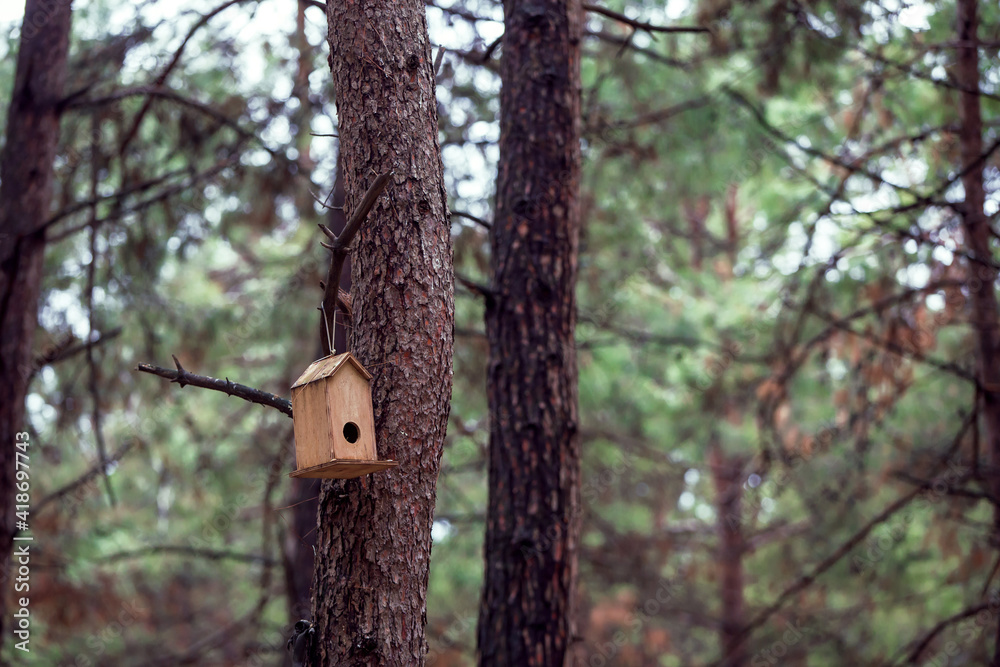 Front view, Inside the forest, wooden birdhouse attached to a pine tree trunk. Selective focus Front view, Inside the forest, wooden birdhouse attached to a pine tree trunk. Selective focus