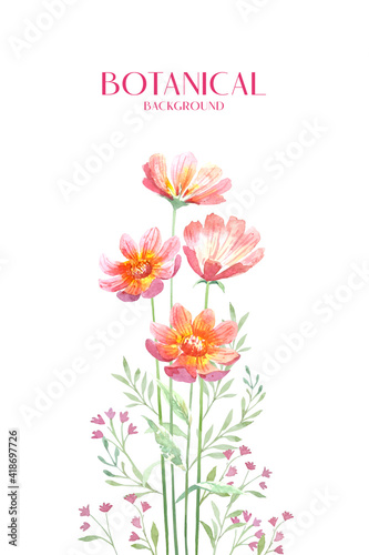 Water color red Zinnia with branch botanical loose style background. 