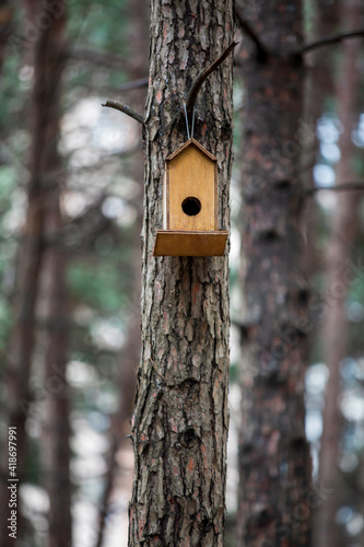 Front view, Inside the forest, wooden birdhouse attached to a pine tree trunk. Selective focus