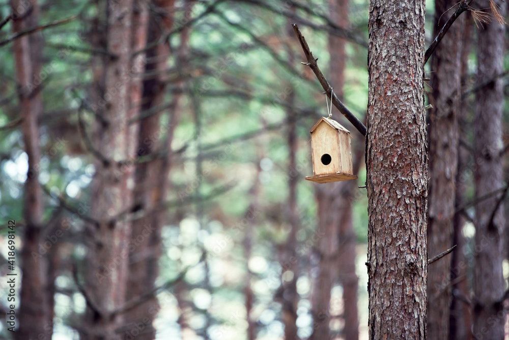 Front view, Inside the forest, wooden birdhouse attached to a pine tree trunk. Selective focus Front view, Inside the forest, wooden birdhouse attached to a pine tree trunk. Selective focus