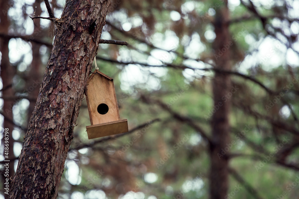 Front view, Inside the forest, wooden birdhouse attached to a pine tree trunk. Selective focus Front view, Inside the forest, wooden birdhouse attached to a pine tree trunk. Selective focus
