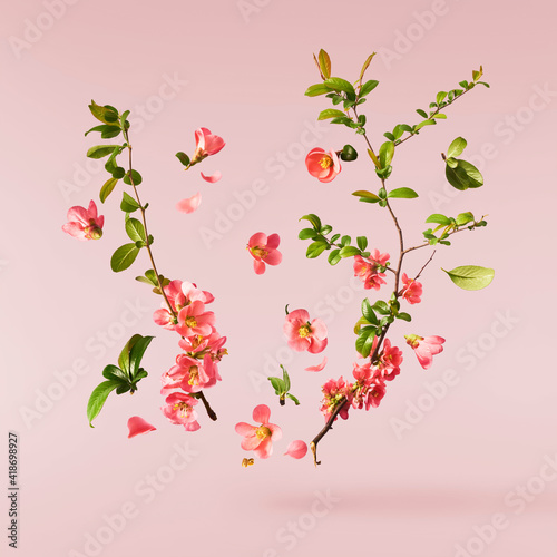 Wallpaper Mural Beautiful sping flowers flying in the air. Levitation concept Torontodigital.ca