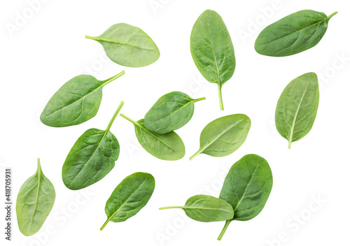 Spinach leaves are flying on a white. Isolated