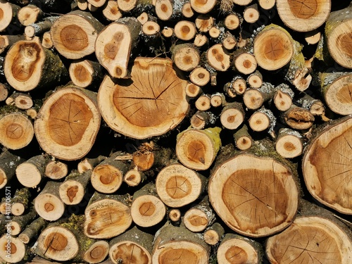 stack of firewood