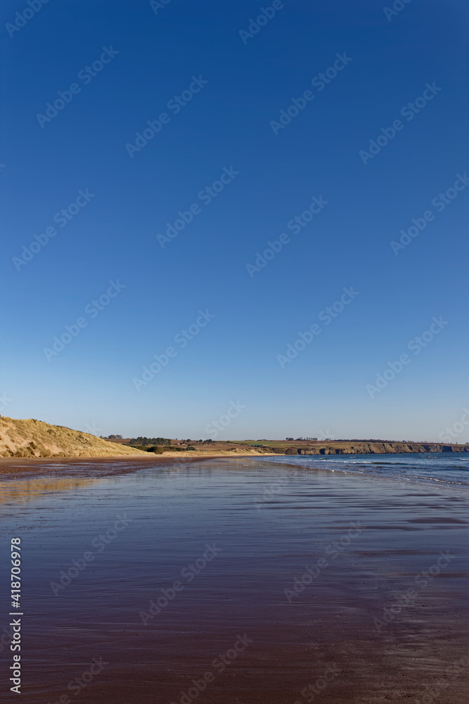 Looking North along the southern Section of Lunan Bay Beach with the tide receeding across the wet sand and a deep blue sky above.
