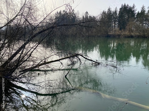 Reuss River before Lake Flachsee and in natural protection zone Aargau Reuss river plain (Naturschutzzone Aargauische Auen in der Reussebene), Rottenschwil - Switzerland (Schweiz) photo