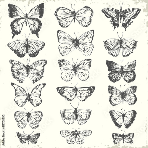 Hand drawn line art insects set.