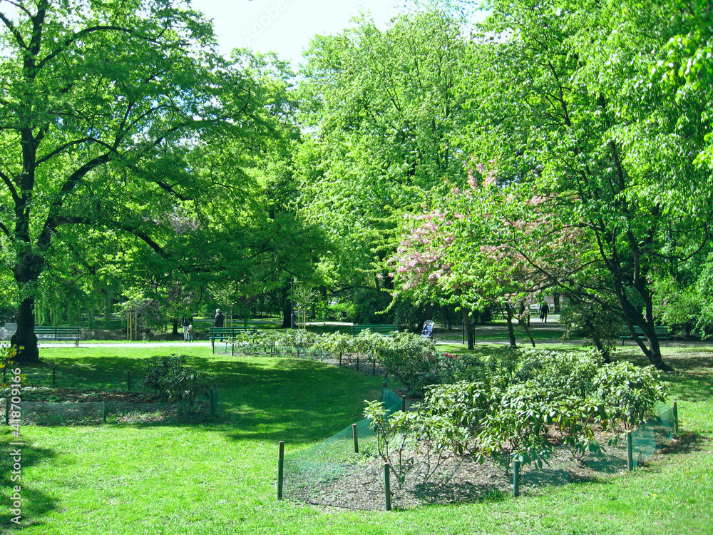 City park with bushes and green trees. People have a rest in city park