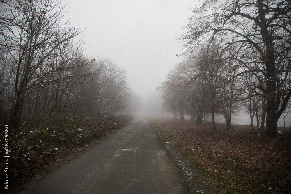 Landscape with beautiful fog in forest on hill or Trail through a mysterious winter forest with autumn leaves on the ground. Road through a winter forest. Magical atmosphere. Azerbaijan nature Landscape with beautiful fog in forest on hill or Trail through a mysterious winter forest with autumn leaves on the ground. Road through a winter forest. Magical atmosphere. Azerbaijan nature