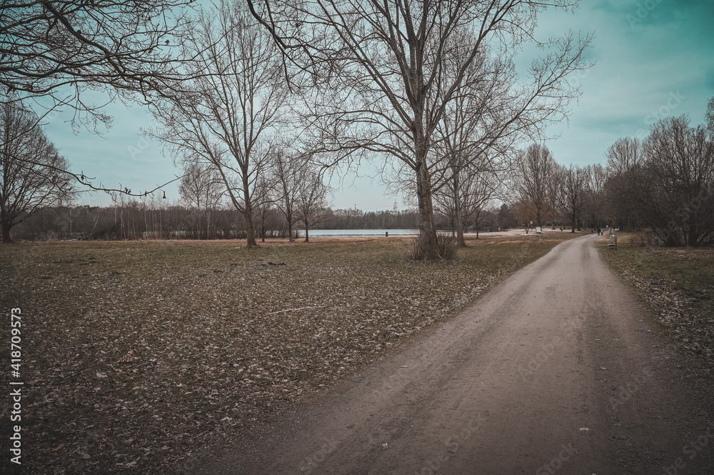 Fototapeta premium road in the morning