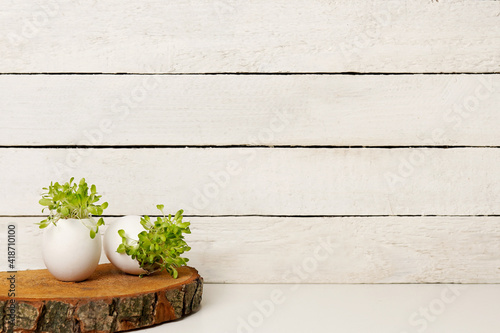 easter eggs with green plant grass on wooden background. Happy Easter, eco concept. Space for text
