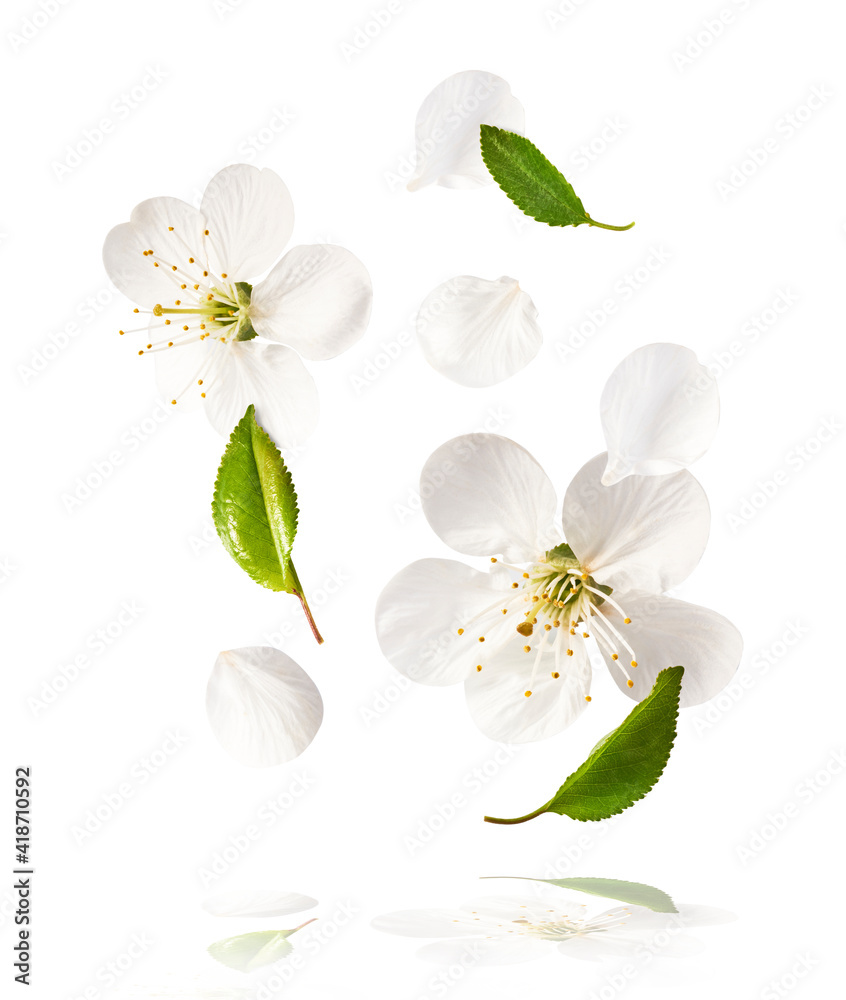 Obraz premium Beautiful sping flowers flying in the air. Levitation concept