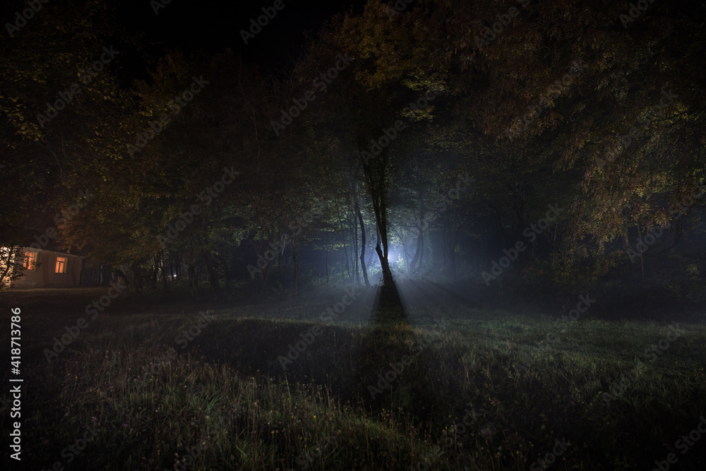 strange light in a dark forest at night. Silhouette of person standing in the dark forest with light. Dark night in forest at fog time. Surreal night forest scene. Horror halloween concept. Fairytale strange light in a dark forest at night. Silhouette of person standing in the dark forest with light. Dark night in forest at fog time. Surreal night forest scene. Horror halloween concept. Fairytale