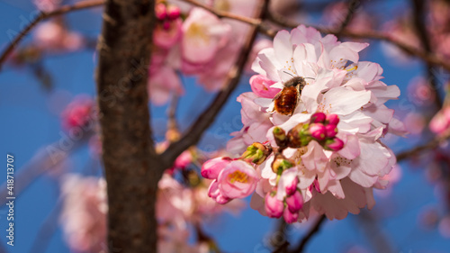 Spring in Barona - Milano