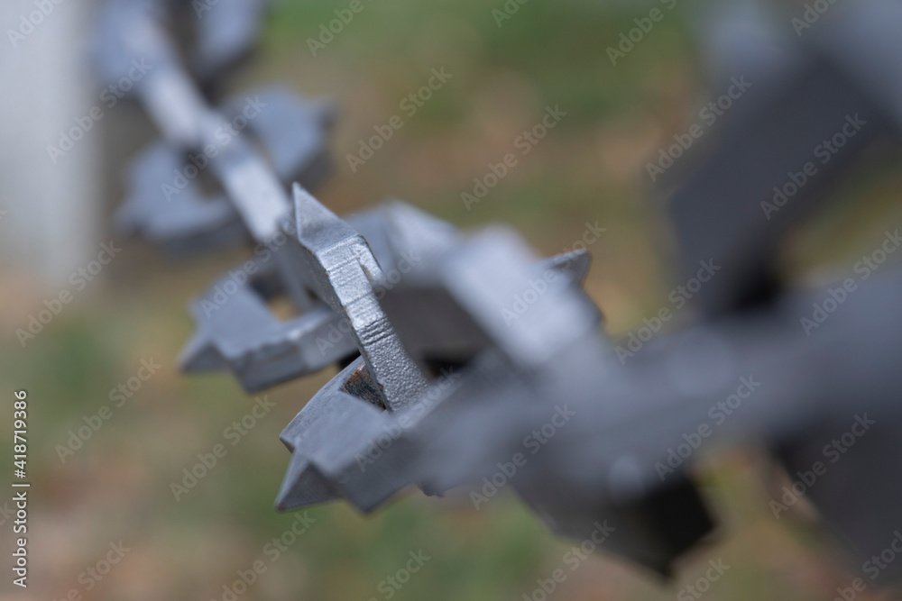 Fototapeta premium Dornenkette