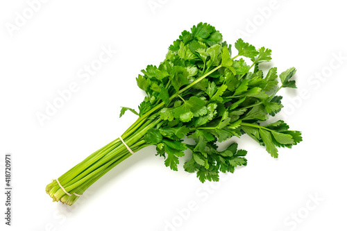 Bunch of celery leaves and stems isolated on white background Top view Flat lay Diet, healthy eating, weight loss concept