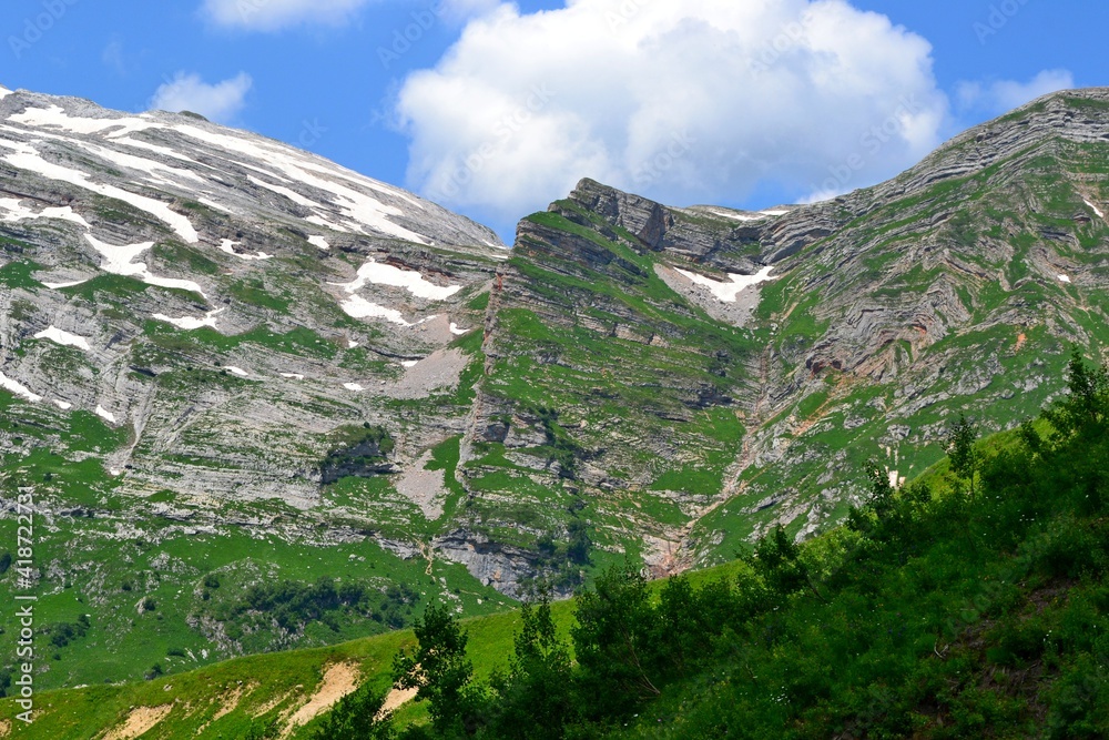 Naklejka premium landscape with mountains