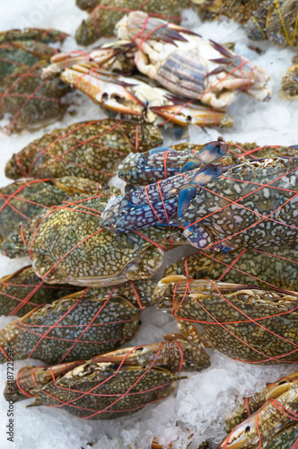 Crabs in Crabs market stall with crabs in ice, Crabs background