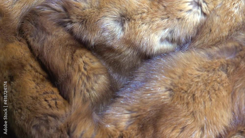 Sable Fur background. Red with brown Fur clothes texture closeup. Soft and fluffy Russian sable macro shot. Texture of real expensive fur surface, Rotation. Slow motion. 4K UHD video Sable Fur background. Red with brown Fur clothes texture closeup. Soft and fluffy Russian sable macro shot. Texture of real expensive fur surface, Rotation. Slow motion. 4K UHD video