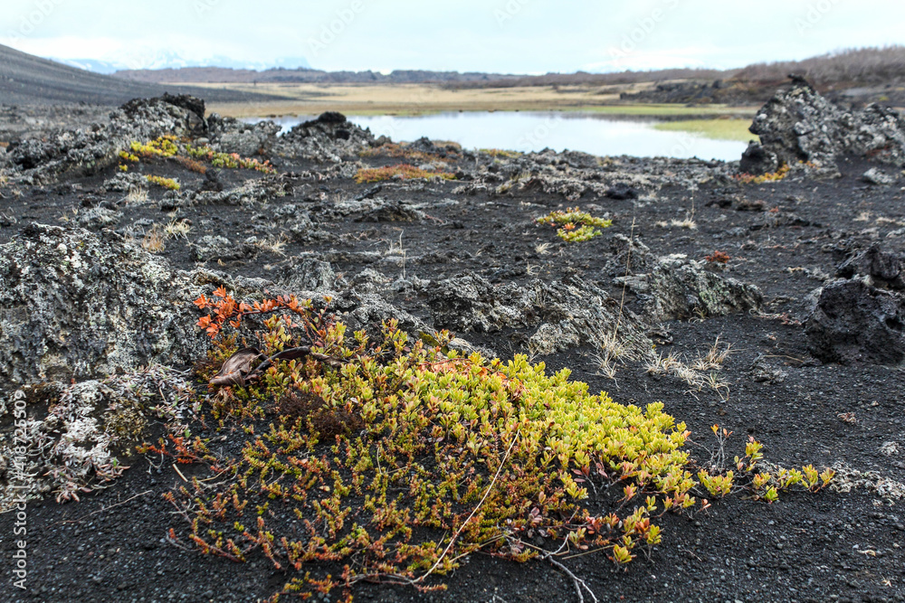 Obraz premium Landscape around Hverfjall crater in Myvatn