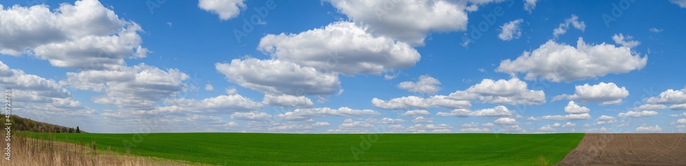 Panorama agriculture field. Summer landscape with green grass and blue cloudy sky Panorama agriculture field. Summer landscape with green grass and blue cloudy sky