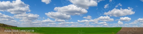 Panorama agriculture field. Summer landscape with green grass and blue cloudy sky