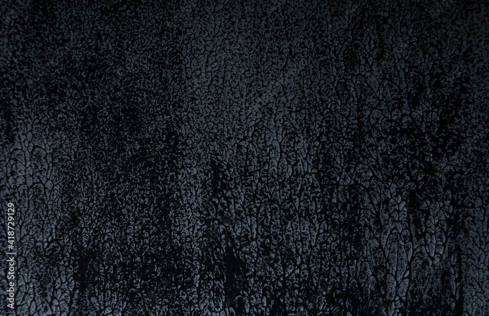 Fototapeta premium Black texture