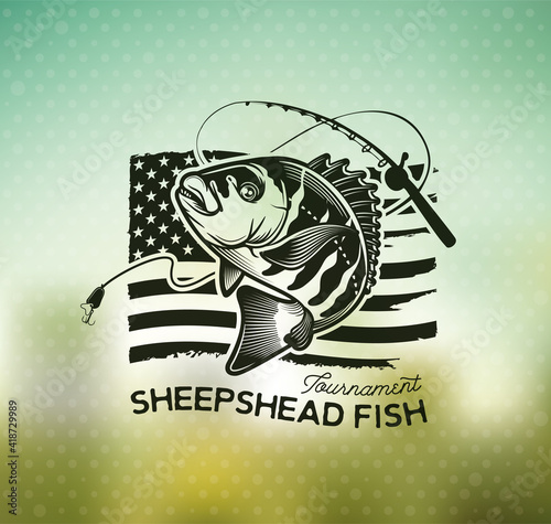 Vintage sheepshead fish emblems. and labels. Vector illustration.